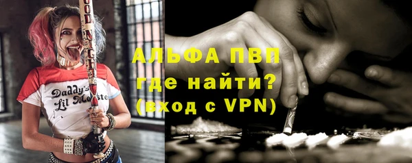прущие крисы Бородино