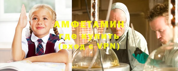 прущие крисы Бородино