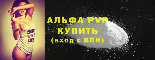 прущие крисы Бородино