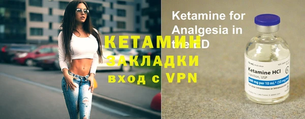 прущие крисы Бородино