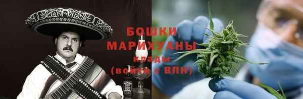 МДПВ Бронницы