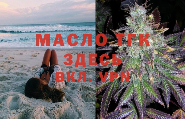 прущие крисы Бородино