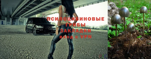 МДПВ Бронницы