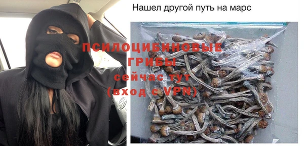 МДПВ Бронницы
