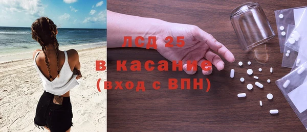прущие крисы Бородино